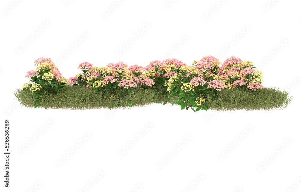 Field of grass with flowers on transparent background. 3d rendering - illustration