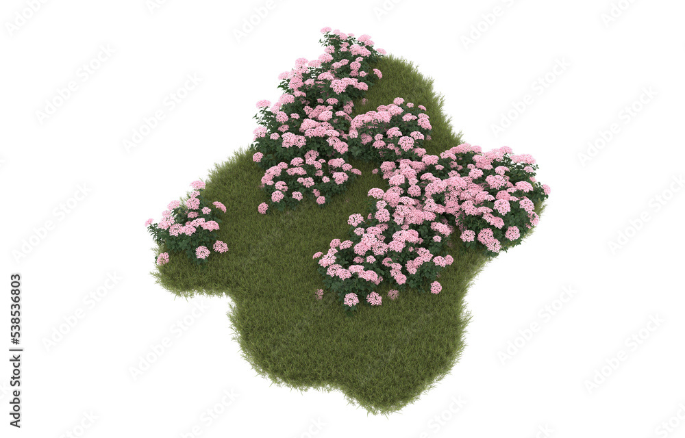 Field of grass with flowers on transparent background. 3d rendering - illustration