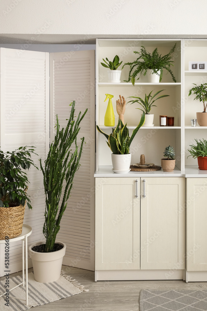 Big shelving unit with different houseplants near light wall