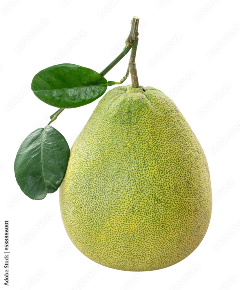 Fresh pomelo isolated on white table background.