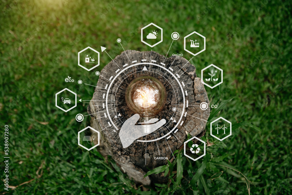 Concept eco. Lightbulb on green grass with sunset with icon and green background.