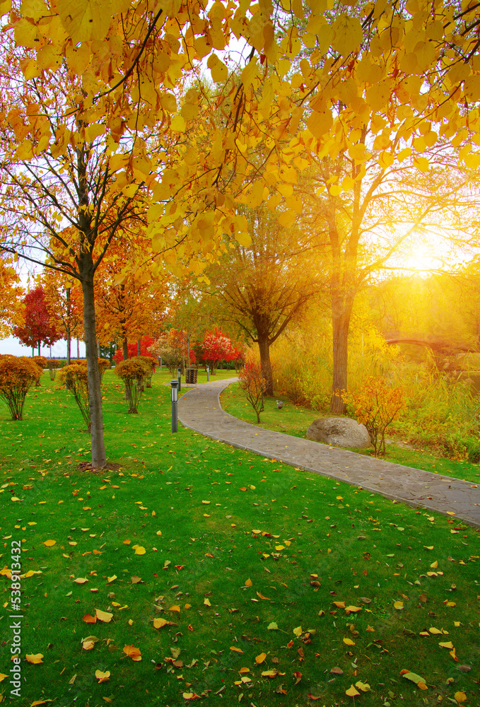 Autumn park with colorful fall foliage