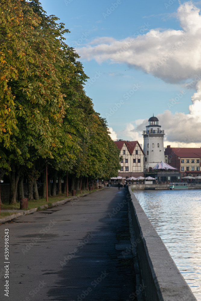 Cozy embankment of the city park. Stone fence, asphalt path and smooth row of trees along the river.