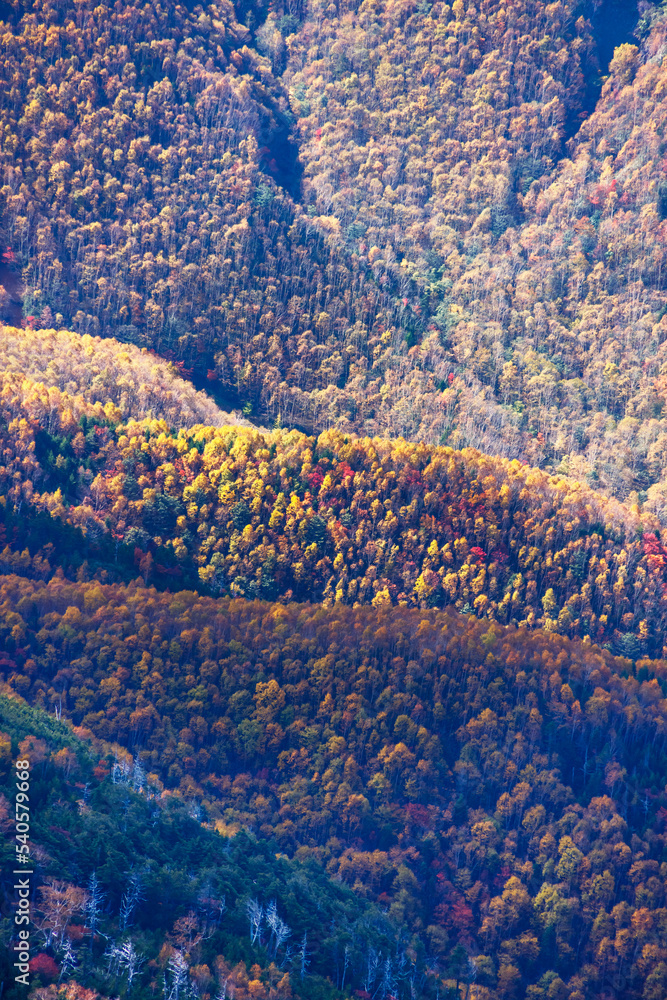 日光白根山から見える紅葉した山の風景