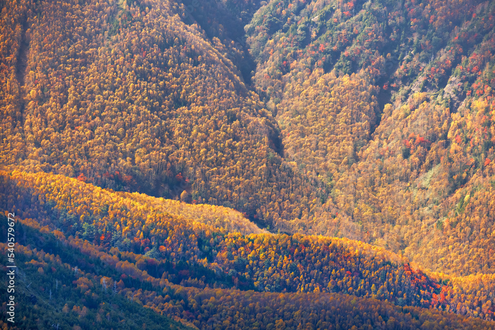 日光白根山から見える紅葉した山の風景