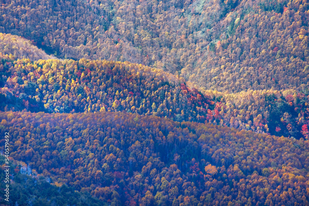 日光白根山から見える紅葉した山の風景