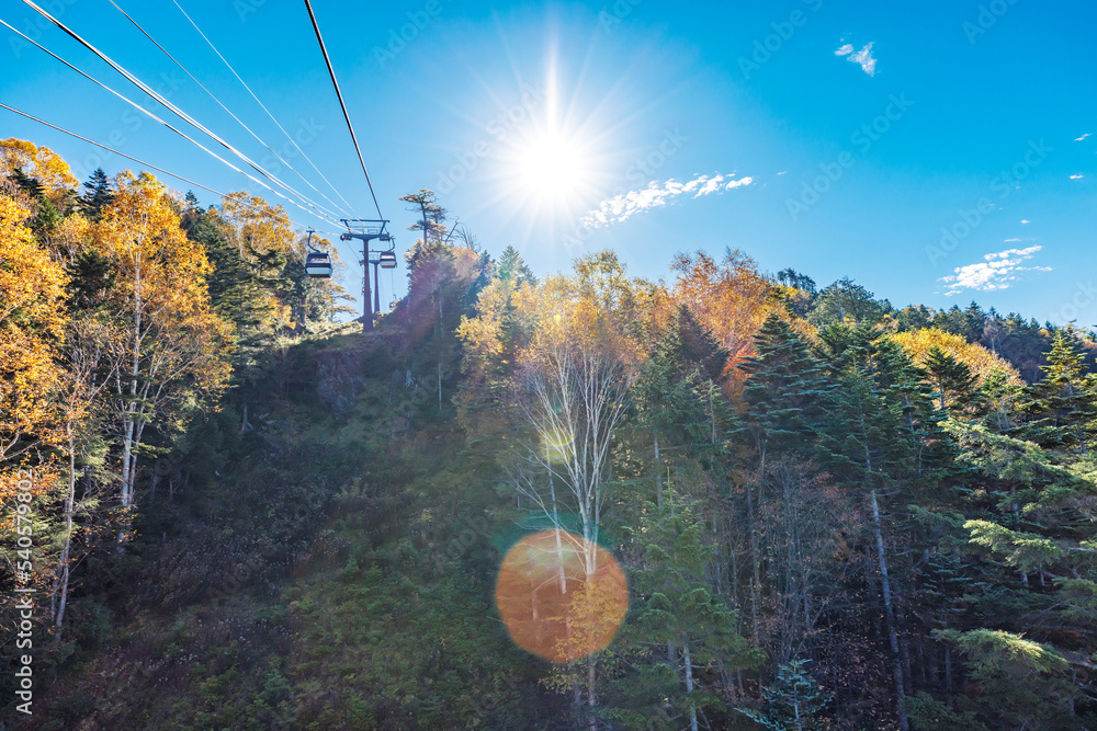 綺麗な紅葉の山を登るロープウェイからの景色