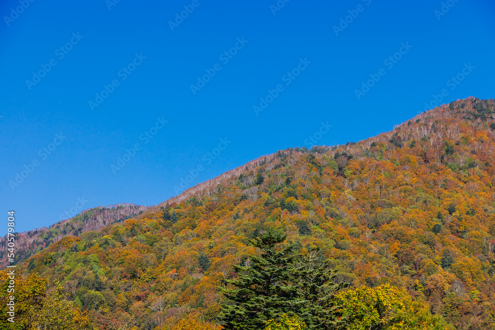 日光白根山周辺の紅葉した山の景色