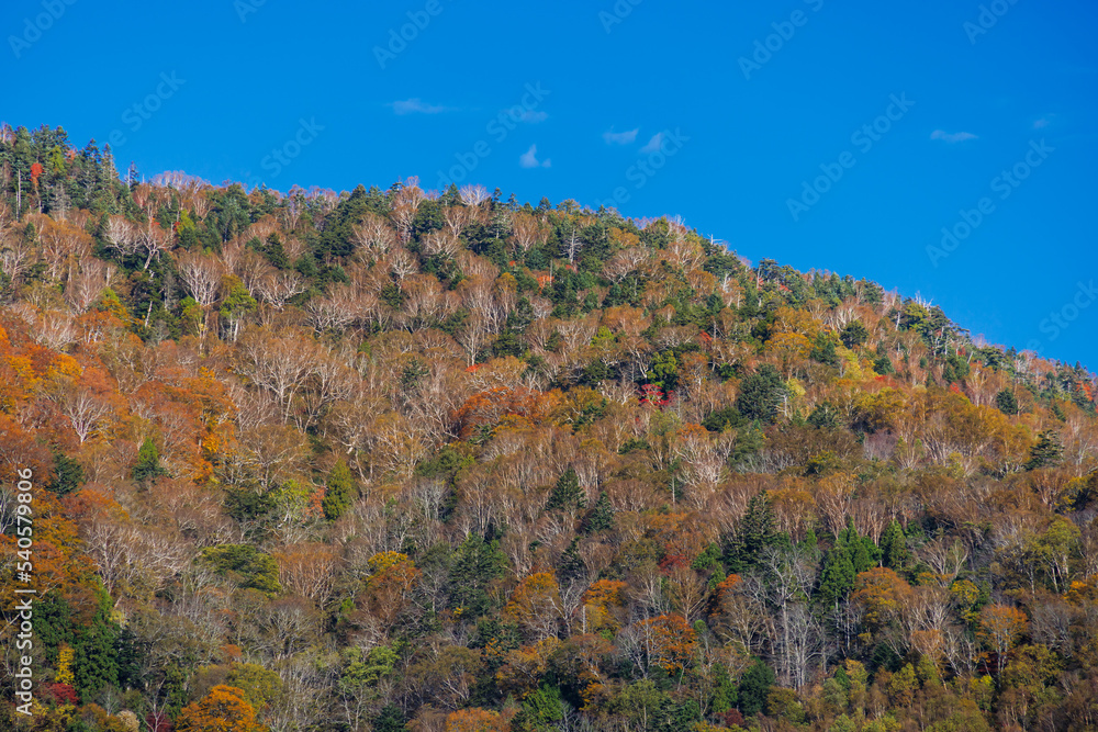 日光白根山周辺の紅葉した山の景色