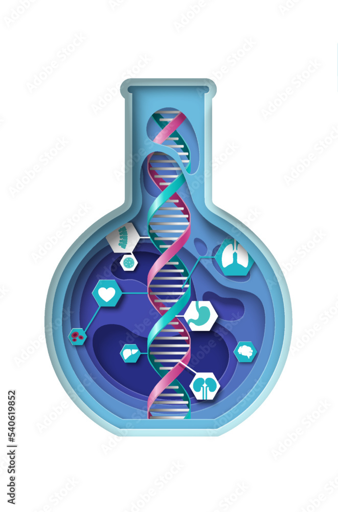 烧瓶中的遗传科学载体分子dna