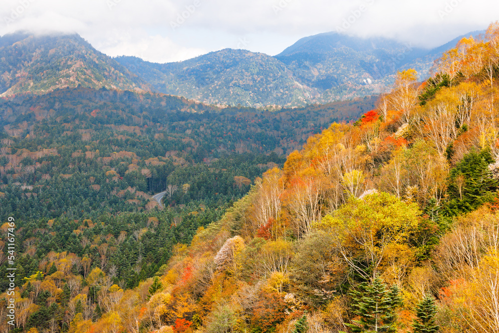 日光白根山から見える紅葉した山の風景