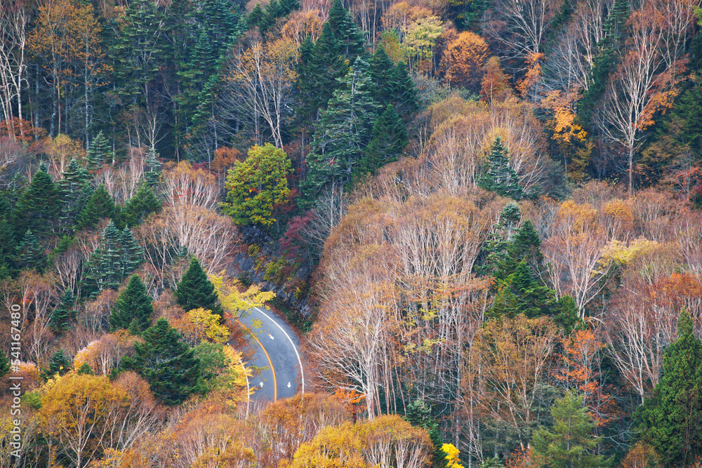 日光白根山から見える紅葉した山の風景