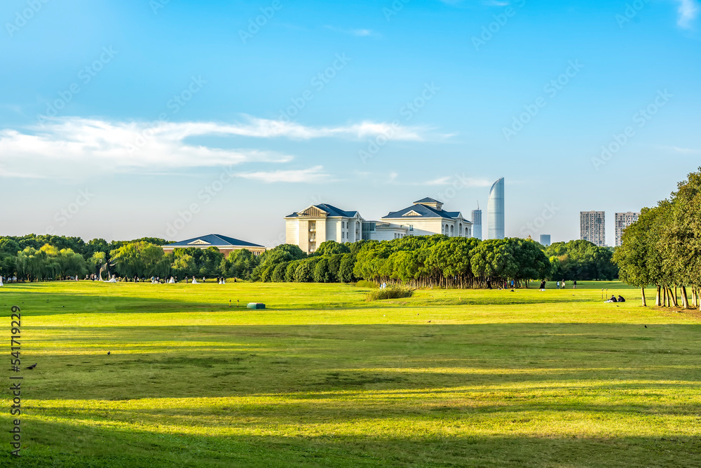 城市公园草坪绿树自然风光