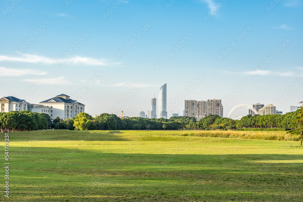 城市公园草坪绿树自然风光