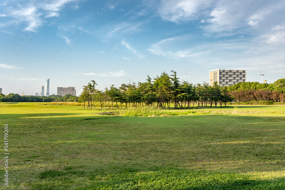 城市公园草坪绿树自然风光