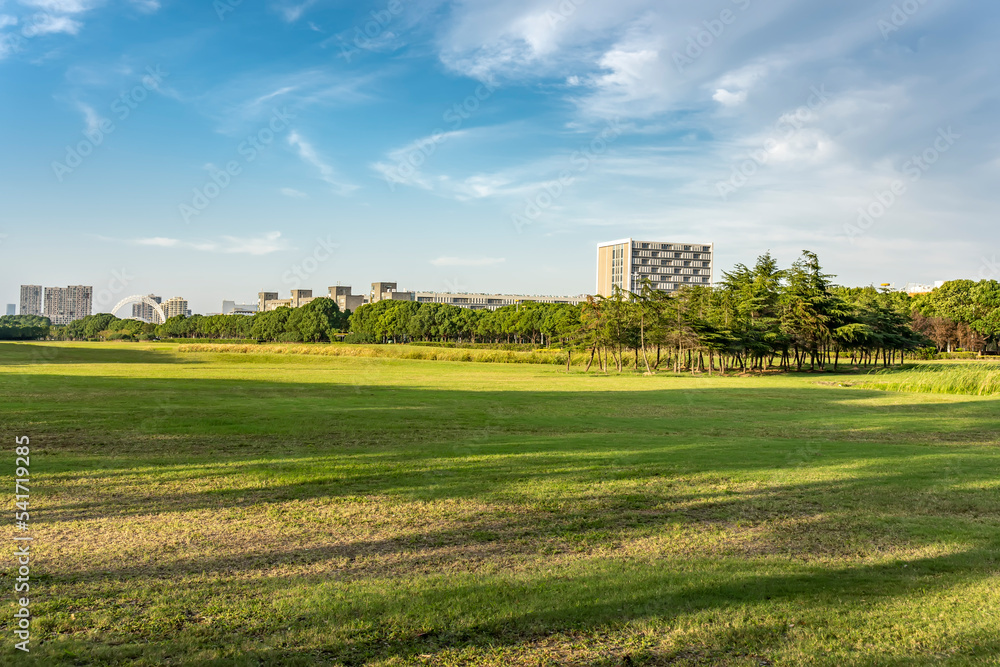 城市公园草坪绿林自然风光