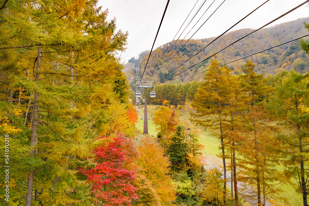 日光白根山から見える紅葉した山の風景