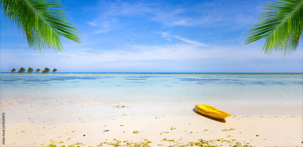 阳光明媚的热带海滩和大海的自然景观。复制空间