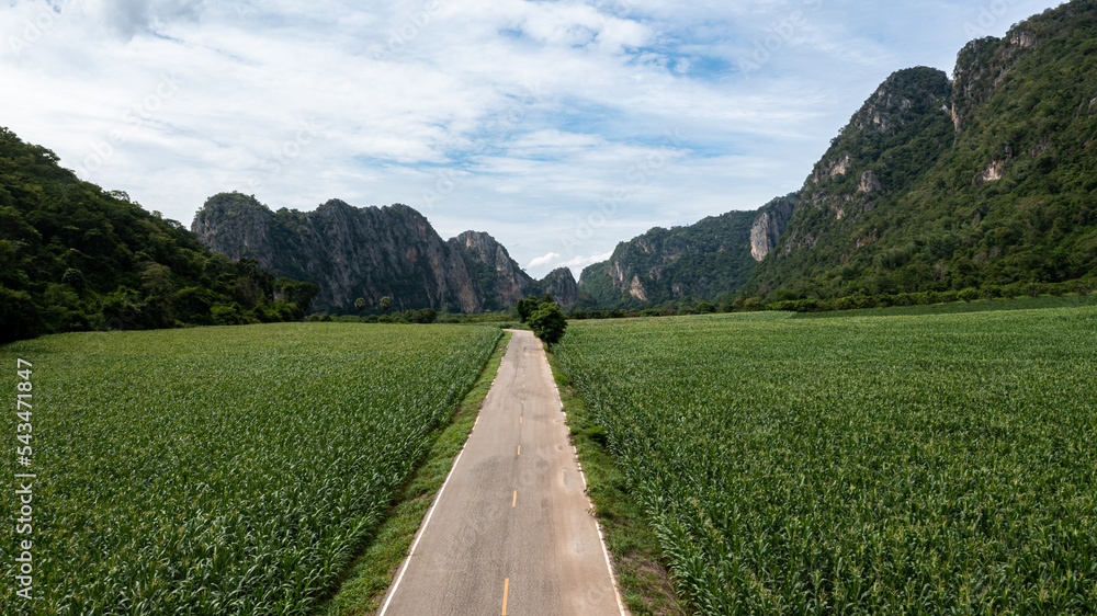 鸟瞰乡村公路-带森林的柏油路，穿过森林的鸟瞰路，特拉夫