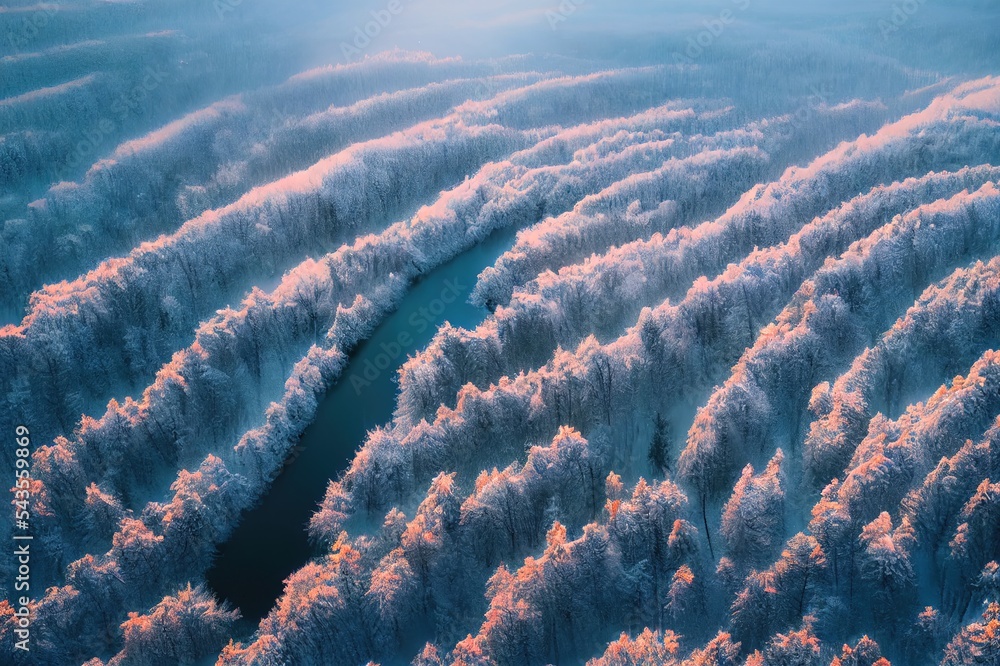 冬季蜿蜒的河流和白雪皑皑的森林。波兰冬季自然鸟瞰图