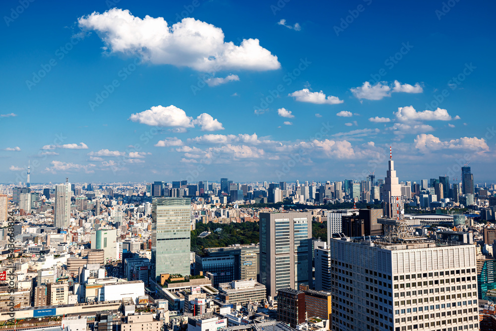 摩天大楼耸立在日本东京西新宿的城市景观之上