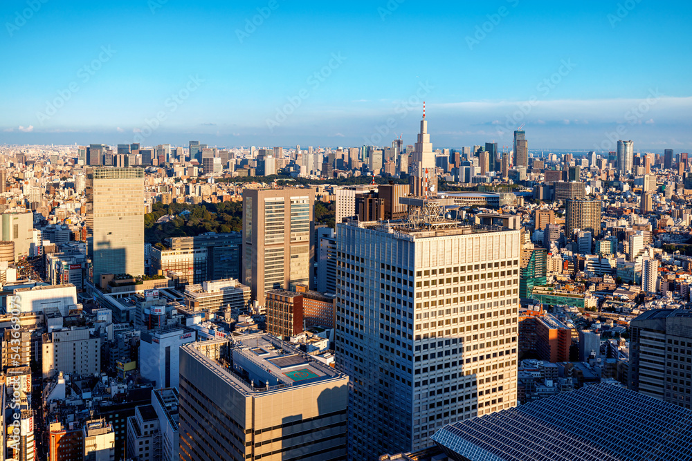 摩天大楼耸立在日本东京西新宿的城市景观之上