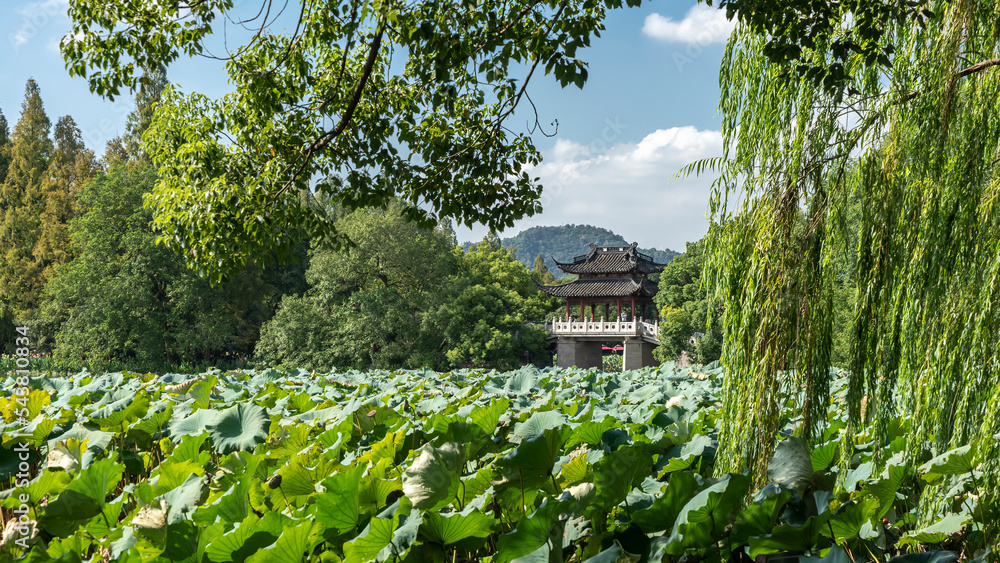 中国杭州西湖中国园林景观