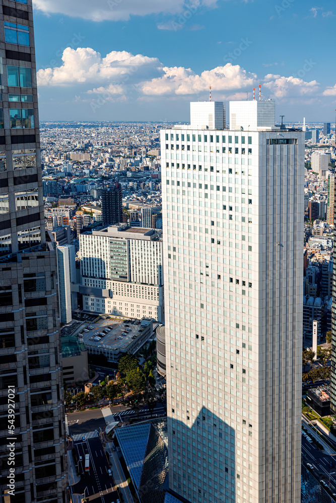 Skyscrapers towering above the cityscape of Nishi-Shinjuku, Tokyo, Japan