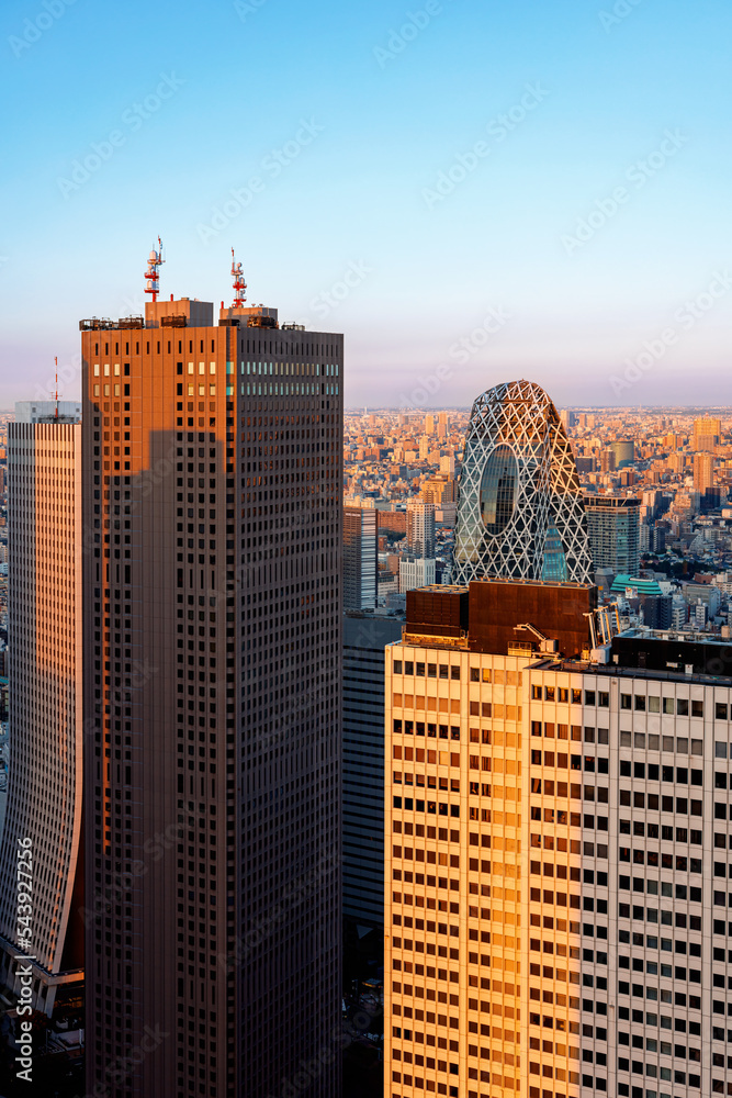 日落时，摩天大楼耸立在日本东京西新宿的城市景观上