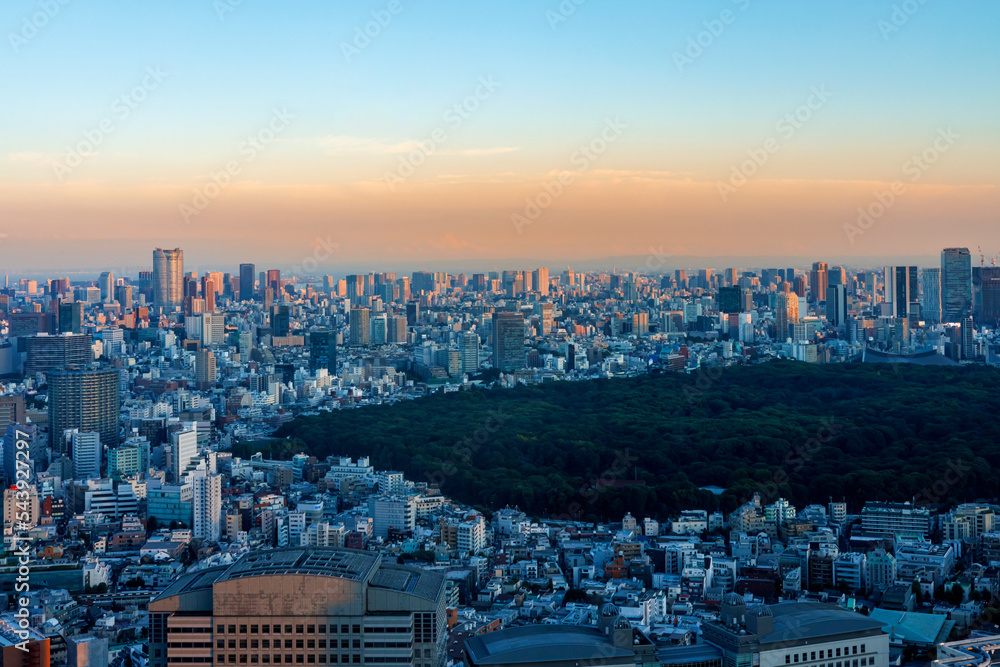 日落时分，摩天大楼耸立在日本东京西新宿的城市景观上