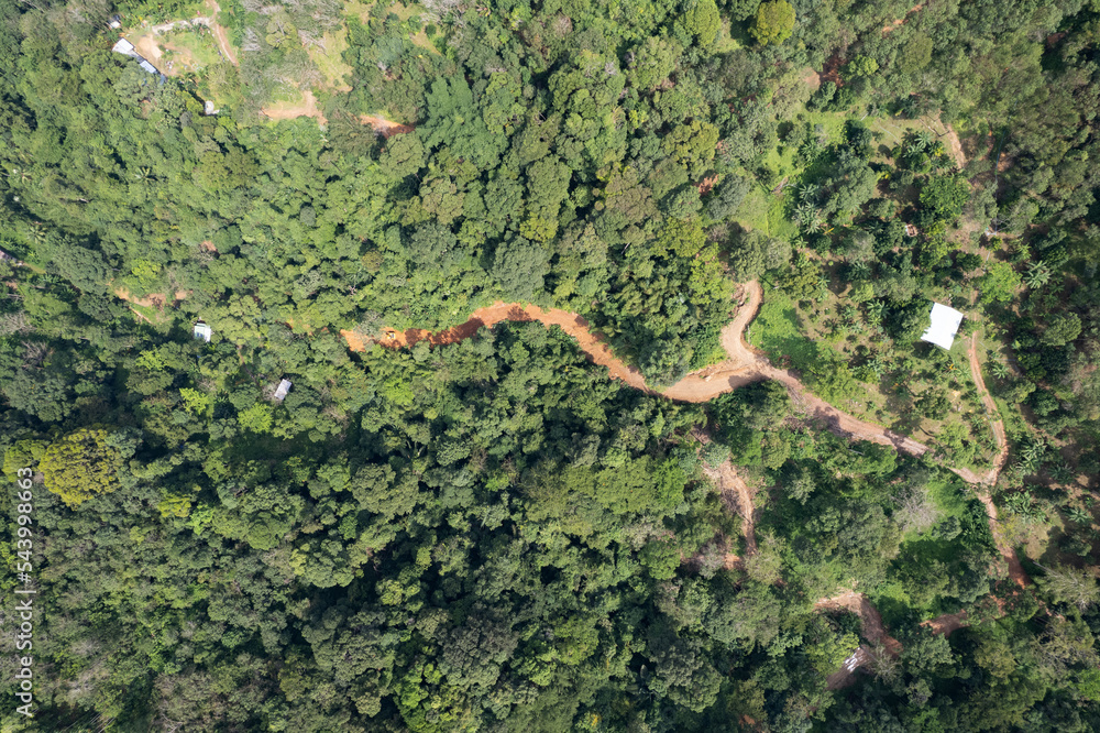 鸟瞰森林中的土路，山脉自然环境背景