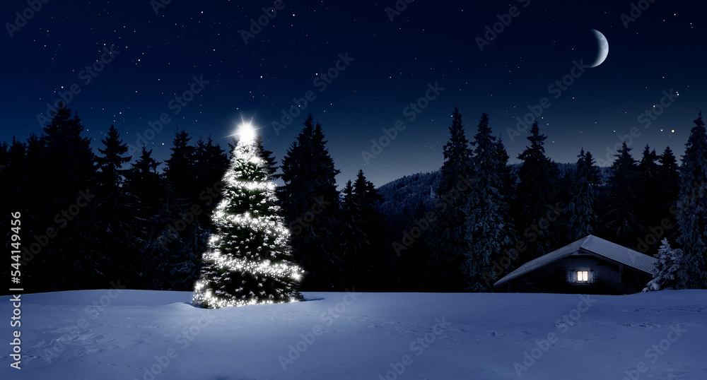 Winterwald的Leuchtender Weihnachtsbaum