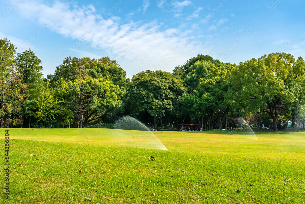 Panorama of big city park