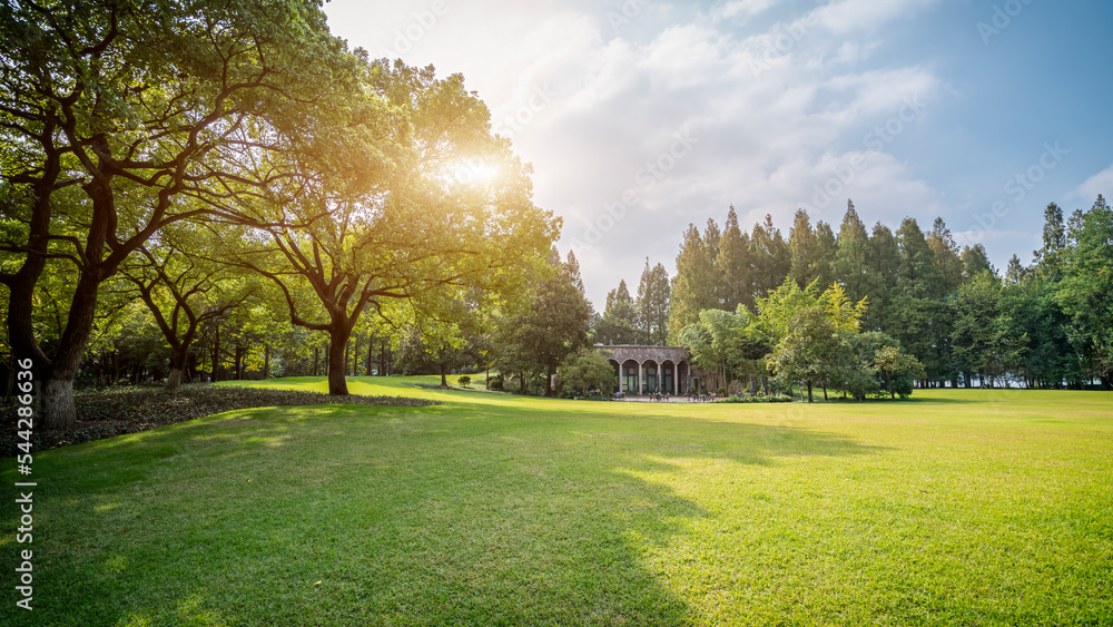 大城市公园全景