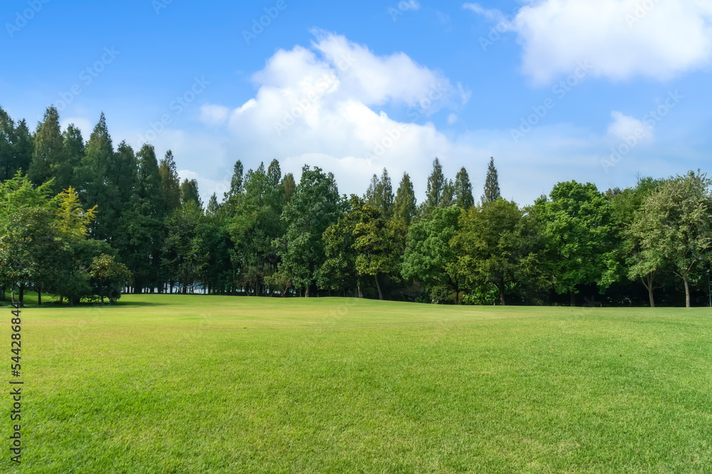 大城市公园全景