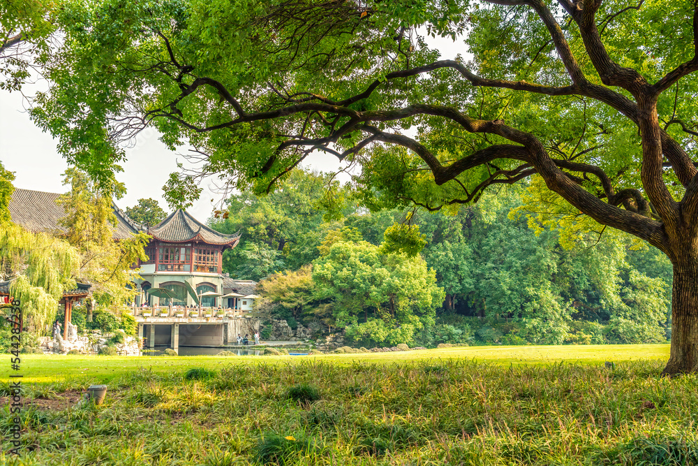 大城市公园全景