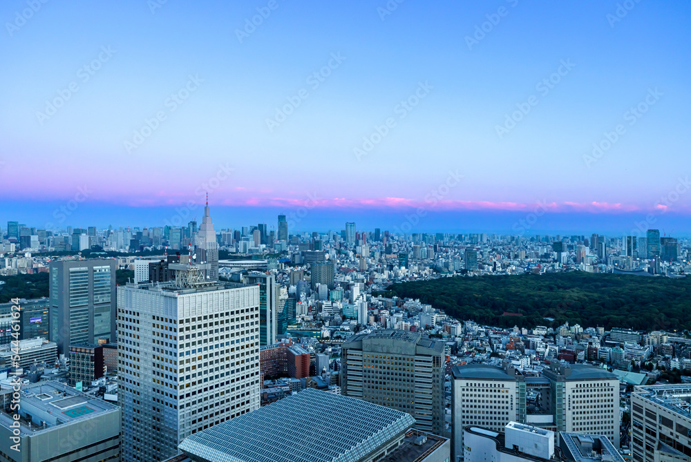 日落时，摩天大楼耸立在日本东京西新宿的城市景观上