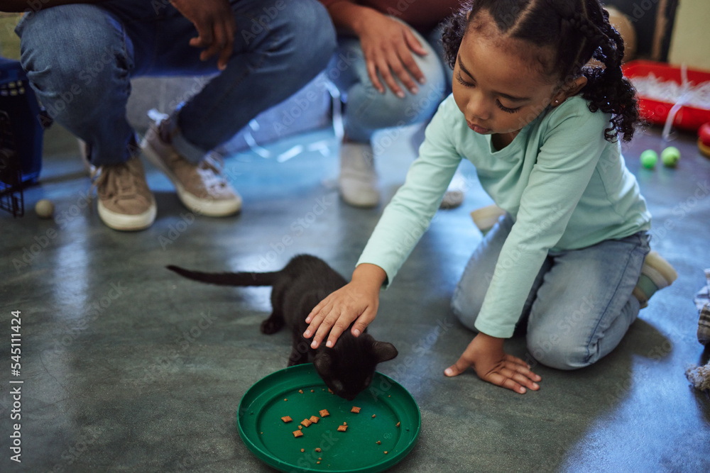 Child, girl or feeding kitten in pet shelter, adoption rescue or feline volunteer community clinic w