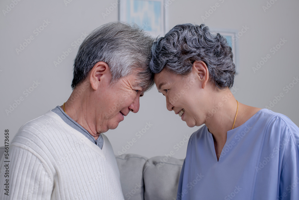 Lovely Asian senior couple touching each other face to face at home. Portrait of romantic senior man