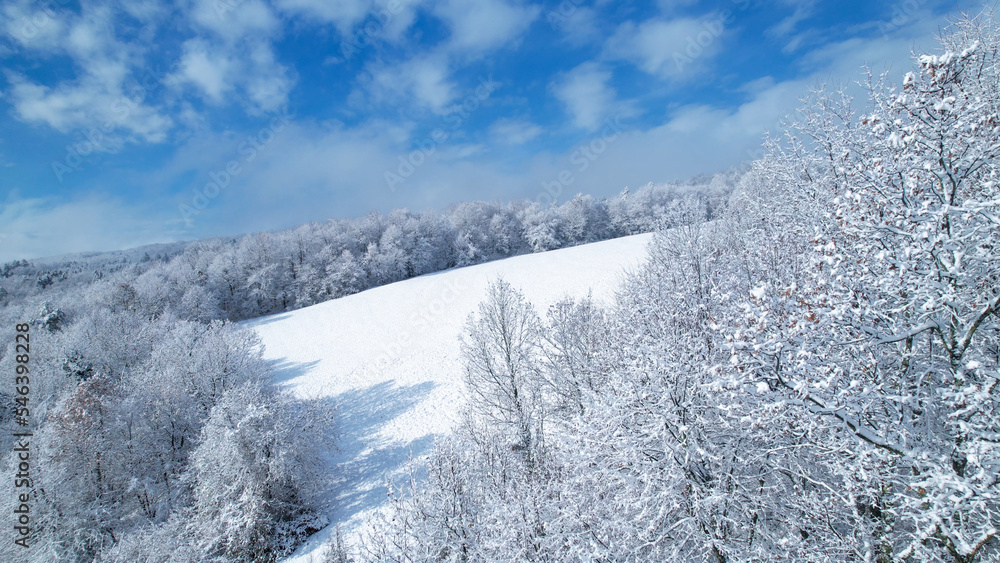 空中飞航：美丽的林地和草地被新下的雪覆盖