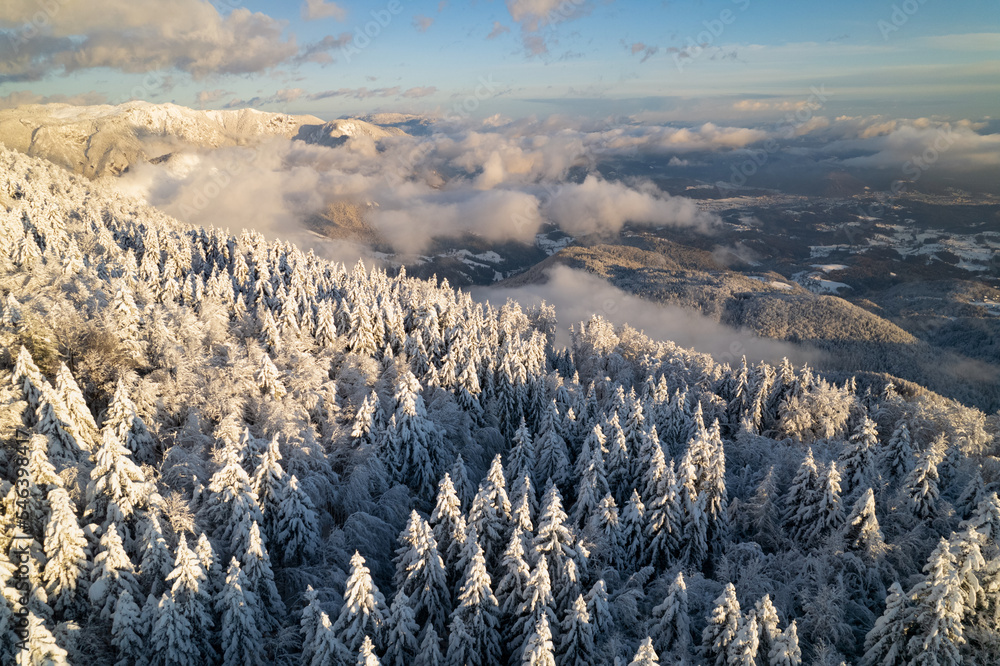 新降雪后高山森林、山脉和山谷的壮丽景色