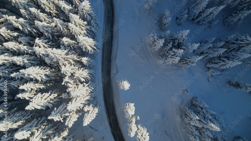 空中俯视：白雪覆盖的森林中蜿蜒的柏油路