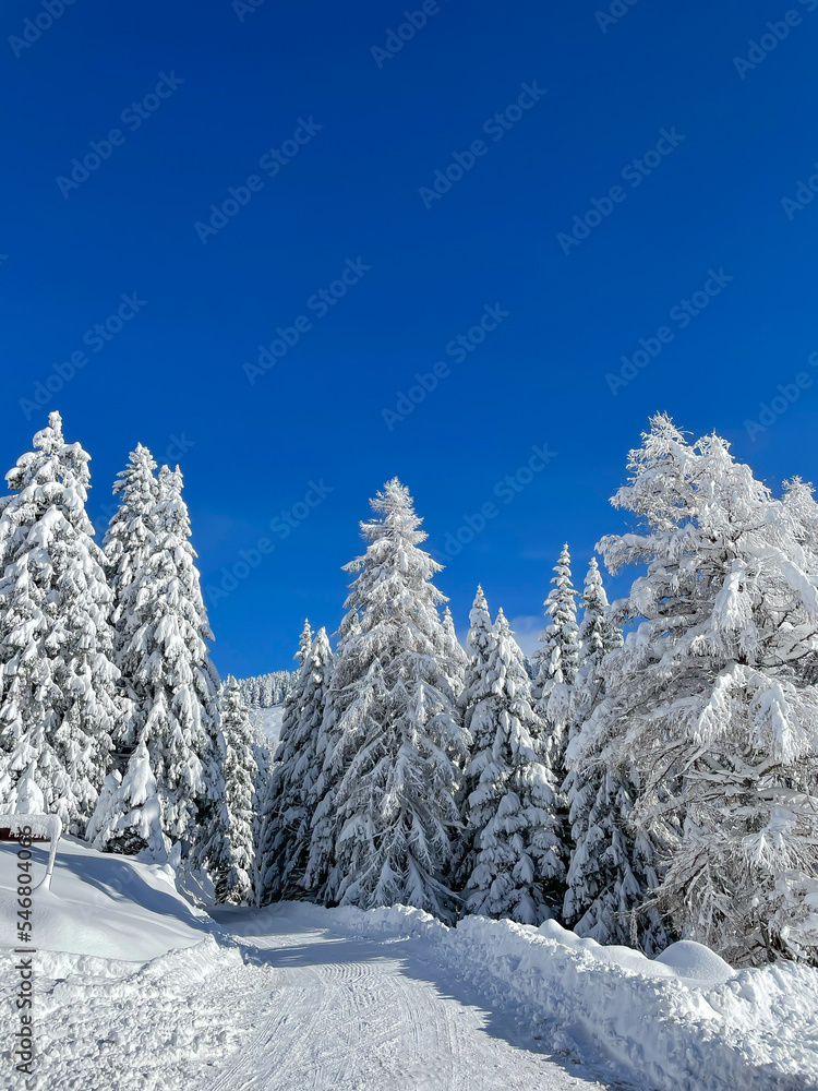 降雪后经过积雪覆盖的山道