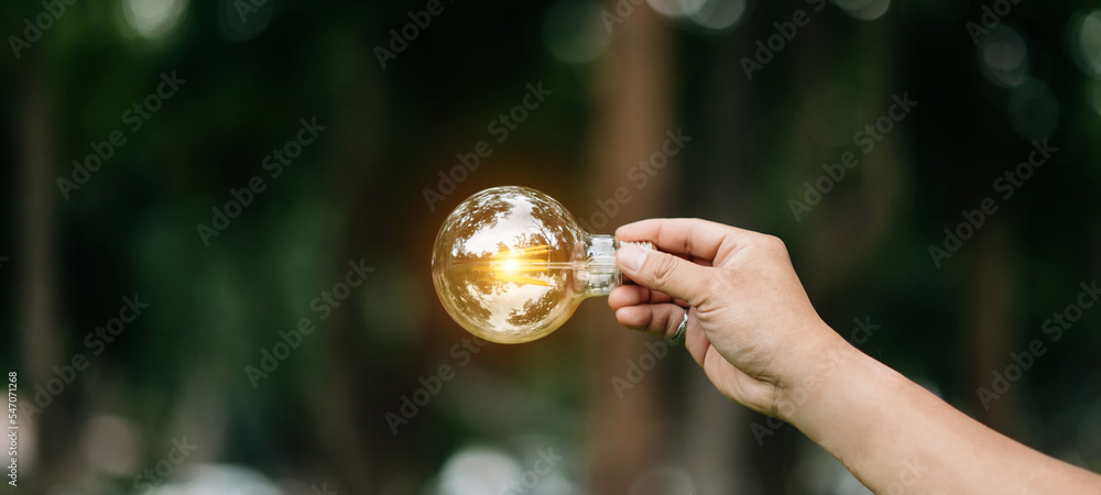 草地上的手持灯泡，带有太阳能和绿色背景。电力生态概念。