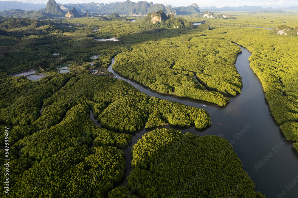 亚洲热带红树林山脉景观中令人惊叹的美丽自然风光