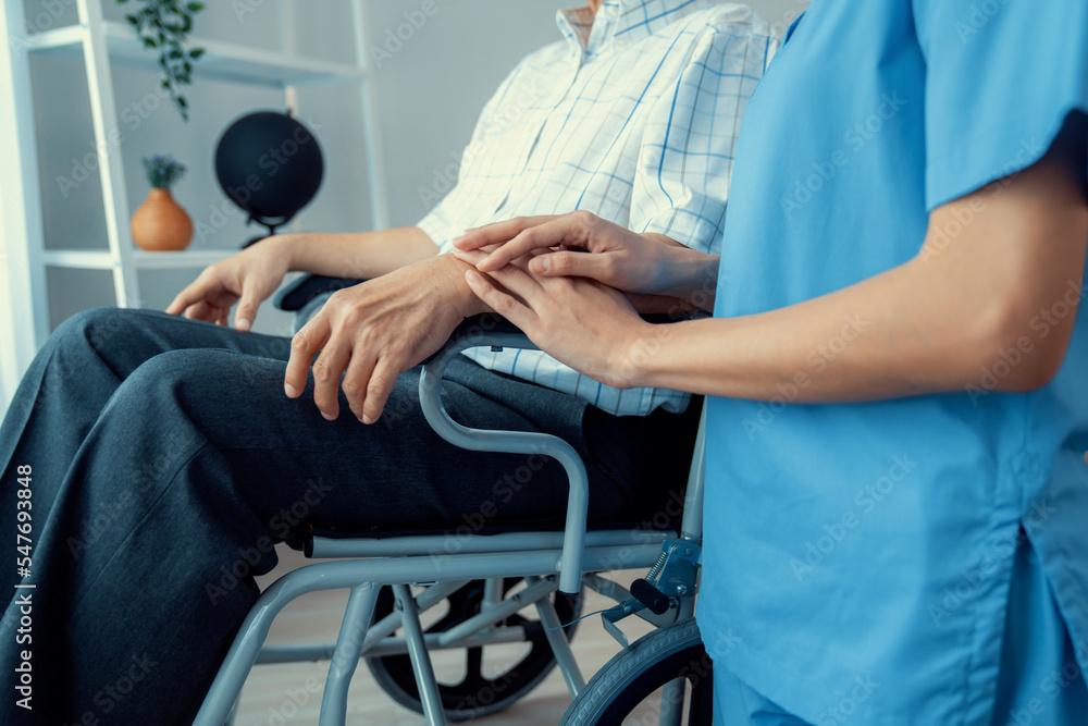 Caring nurse and a contented senior man in a wheel chair at home, nursing house. Medical for elderly