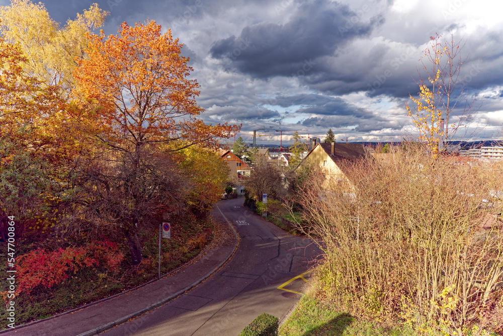 Beautiful autumn trees at street named Hüttenkopfstrasse at City of Zürich on a cloudy autumn aftern