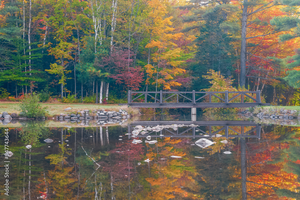 Moose Brook State Park.Gorham.New Hampshire的暖池