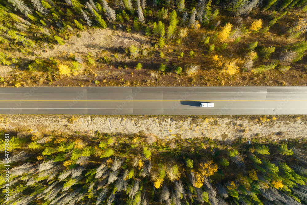 A drone view of a road in the middle of a forest. A car on the road. A straight road among the trees