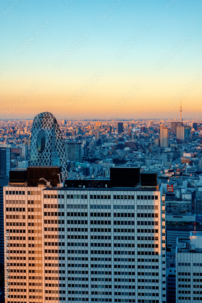 日落时分，摩天大楼高耸在日本东京西新宿的城市景观上